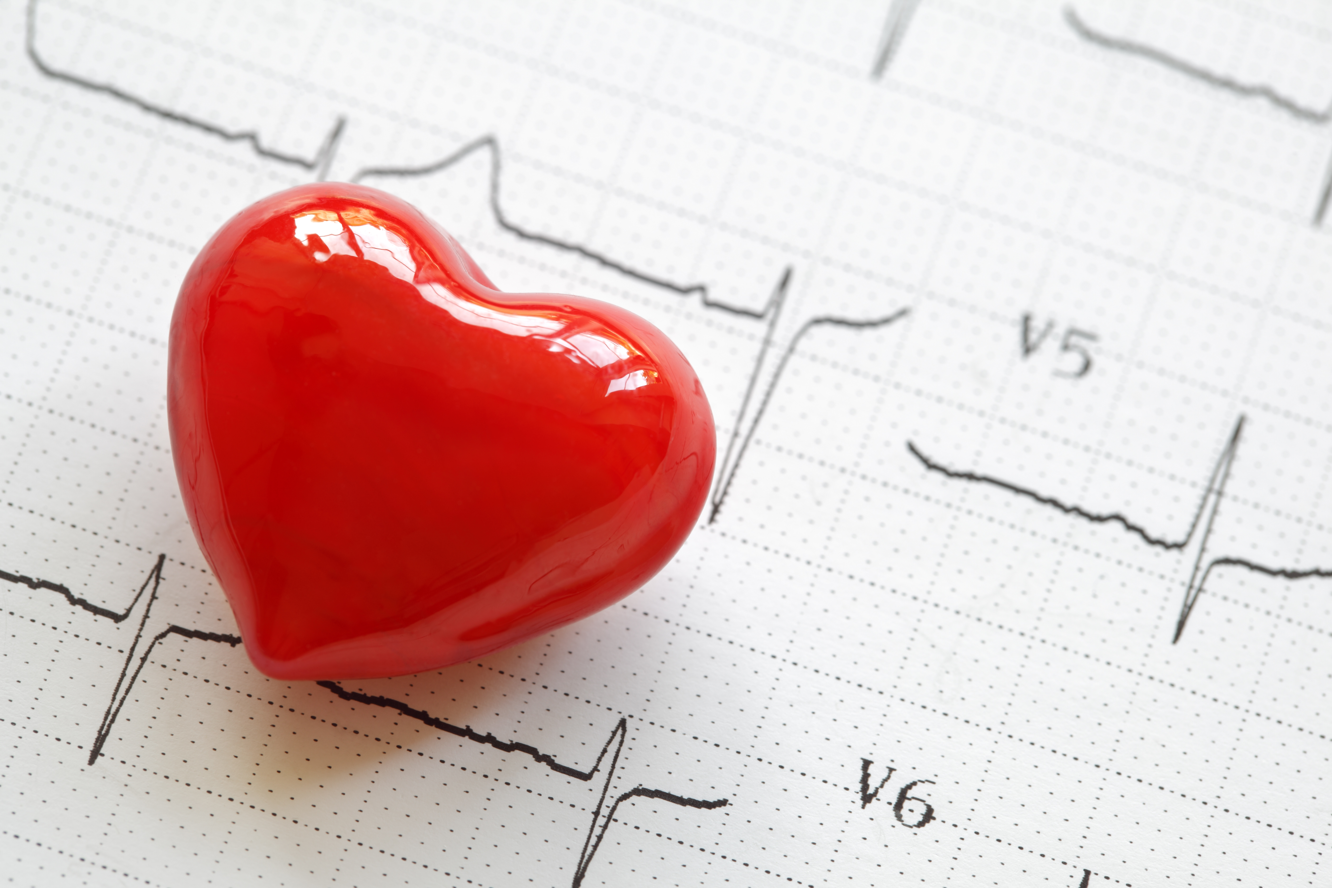 Cardiology Check-up MINI